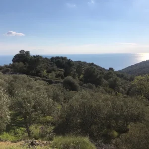 Alternatura Komiza, Travel Agency - Vis hiking