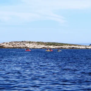 Alternatura Komiza, Travel Agency - Sea kayaking