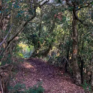 Alternatura Komiza, Travel Agency - Vis hiking