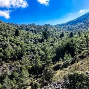 Alternatura Komiza, Travel Agency - Vis hiking