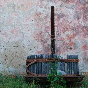 Alternatura Komiza Travel Agency - Private tours