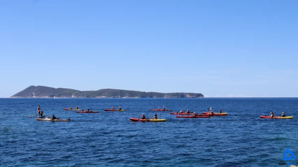 Alternatura Travel Agency - Team building