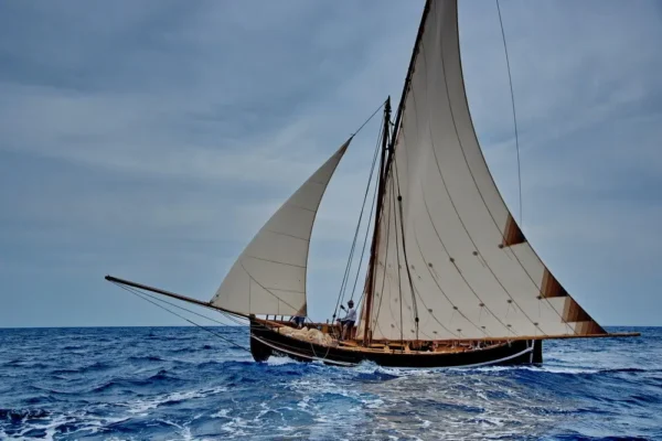 Alternatura Travel Agency - Gajeta falkusa