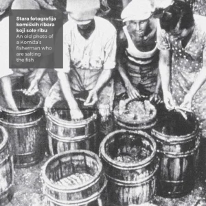 Alternatura Travel Agency - Gajeta falkusa