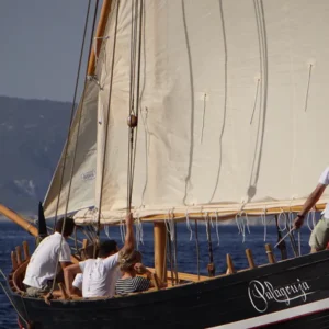 Alternatura Travel Agency - Gajeta falkusa