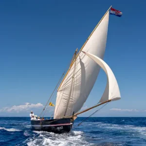 Alternatura Travel Agency - Gajeta falkusa