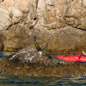 Alternatura Travel Agency - VIS DMC