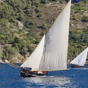 Alternatura Travel Agency - Gajeta falkusa