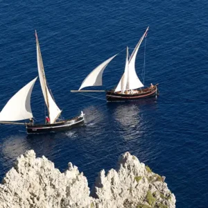 Alternatura Travel Agency - Gajeta falkusa